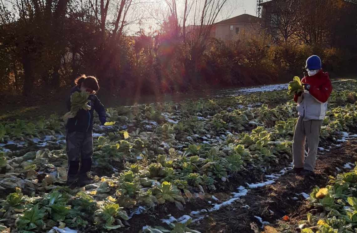 Ragazzi del progetto sociale AIPD nei campi di Areté