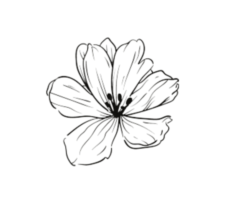 disegno di un fiore